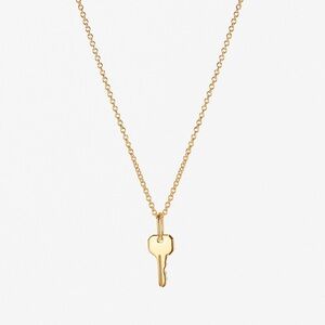 Ana Luisa Charlie key necklace